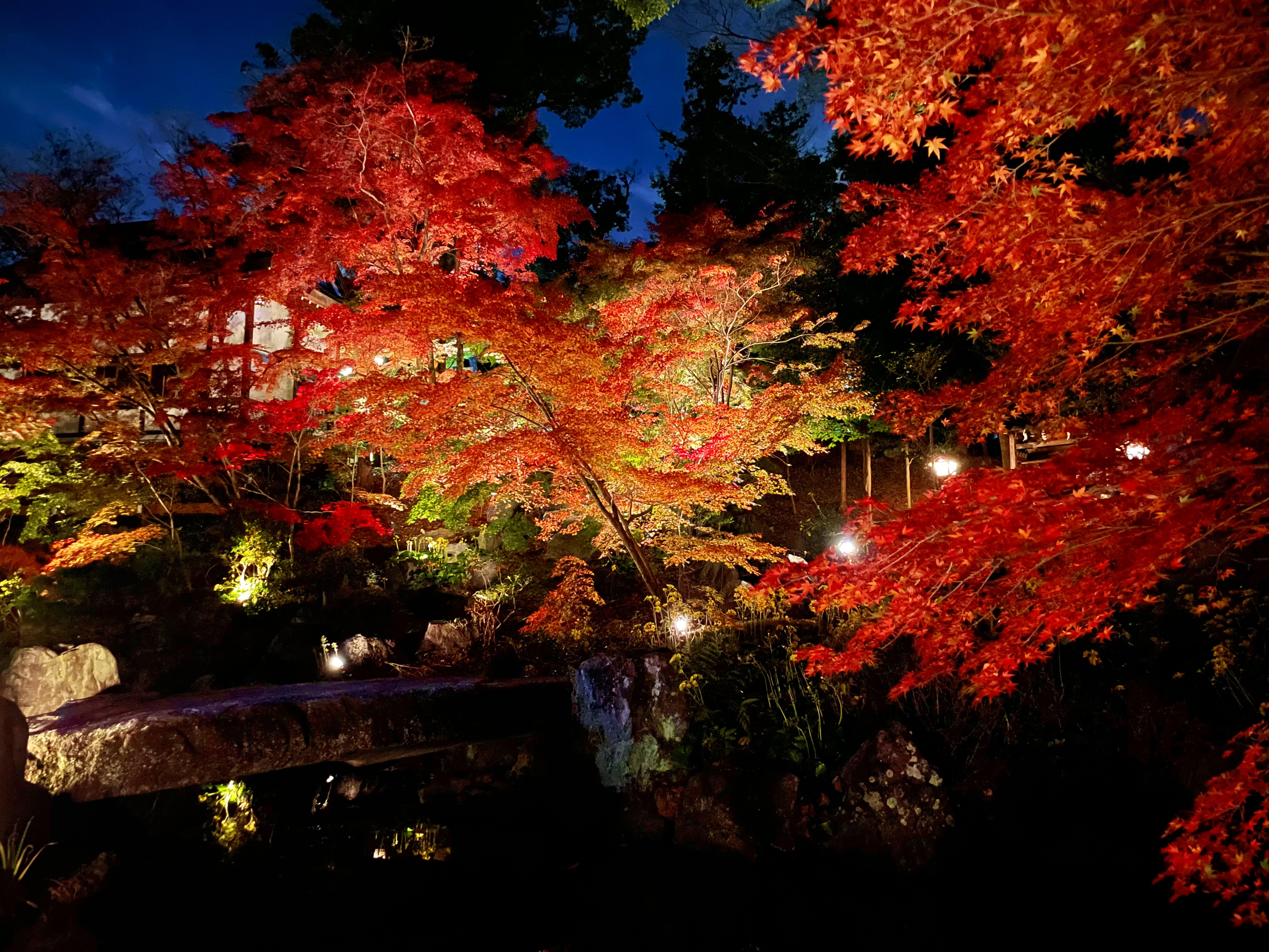 fb0af68210ef8aabdea384b7d8d100